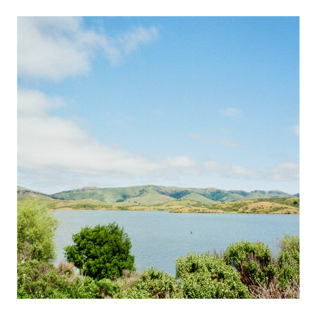 *New* Nicasio Reservoir - 35mm Film Print