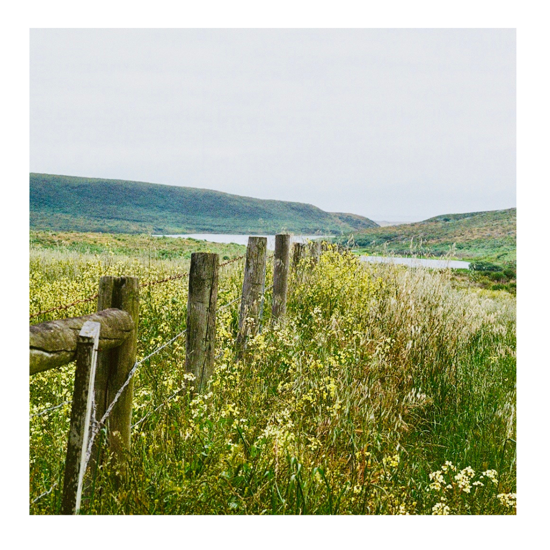 *New* Point Reyes Fenceline - 35mm Film Print