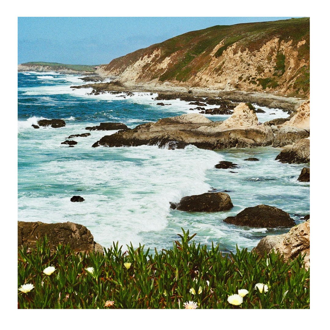 *New* Bodega Bay - 35mm Film Print