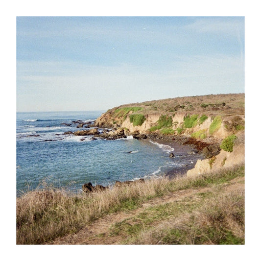 Fiscalini Ranch - 35mm Film Print