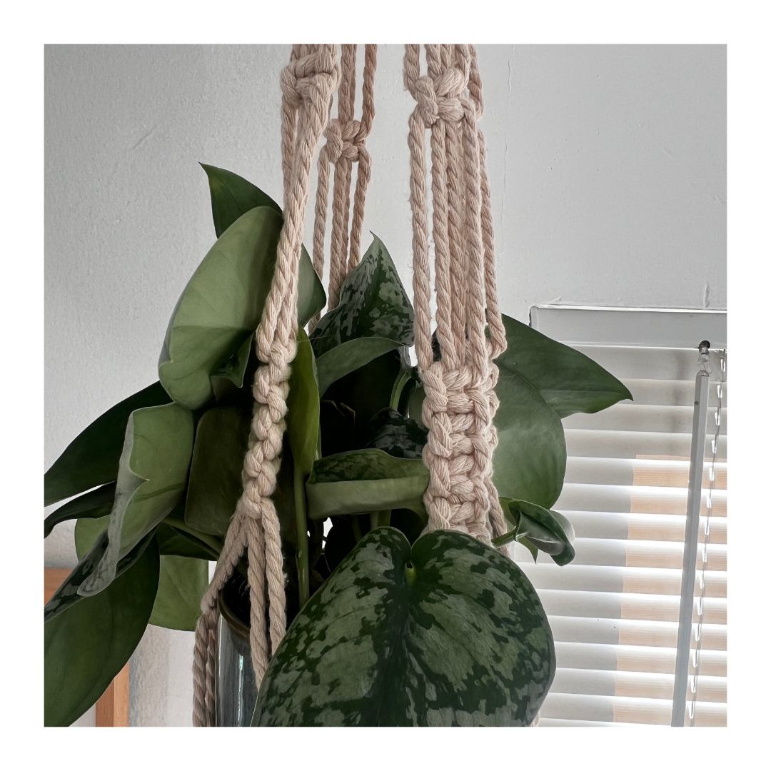 Macrame Plant Hanger (Natural) - #1