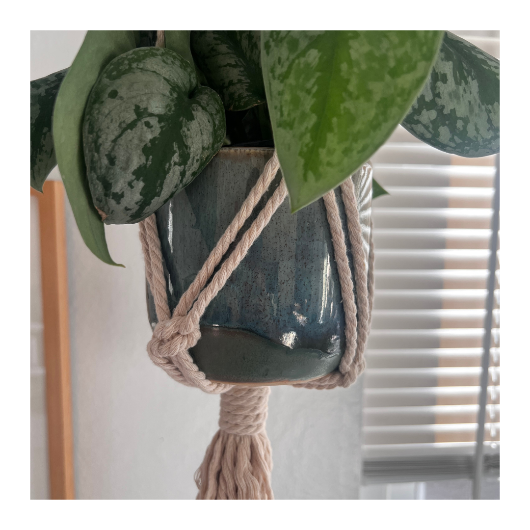 Macrame Plant Hanger (Natural) - #2