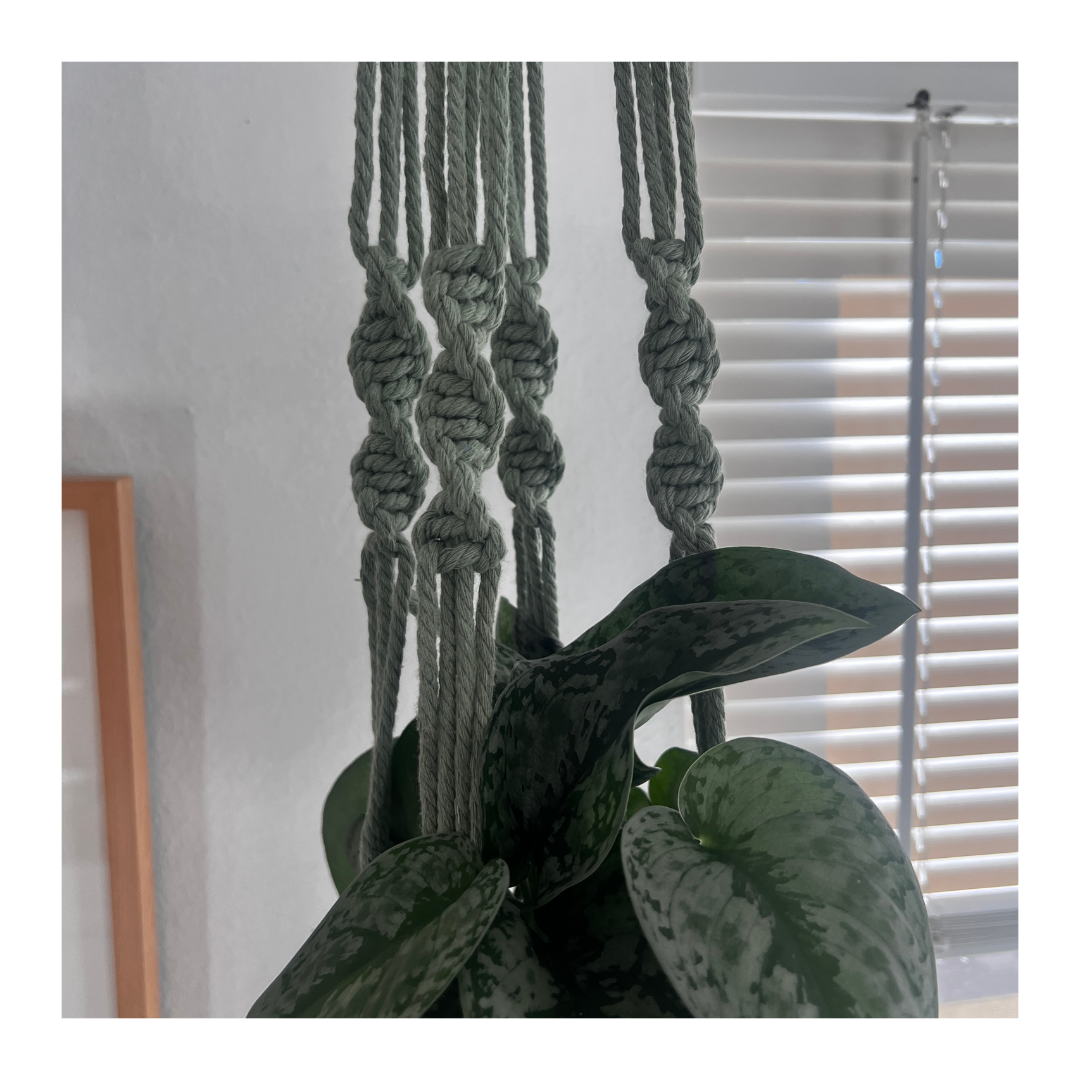 Macrame Plant Hanger (Light Green)