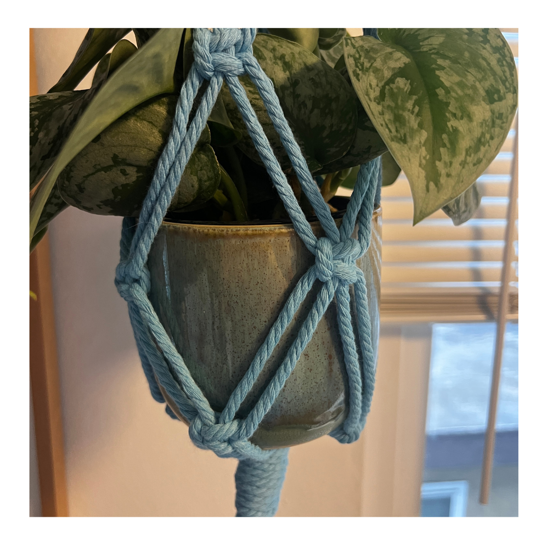 Macrame Plant Hanger (Blue)